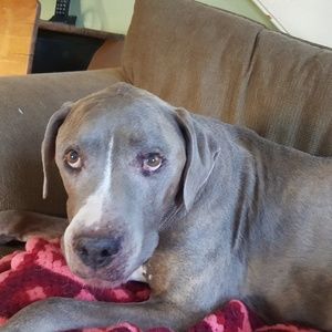 Meet your Posher, Kathie